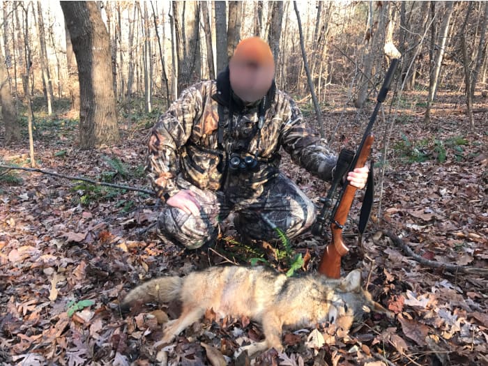 17 HMR Coyote Hunting
