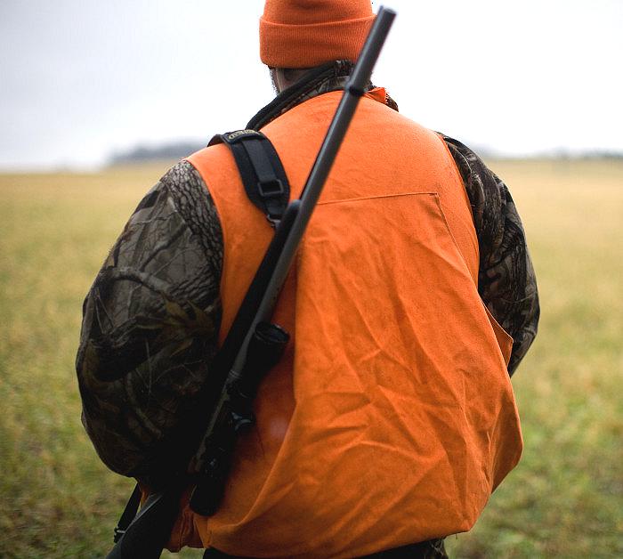 Deer Hunter Wearing Hunter Orange Vest