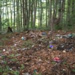 Trash in the Woods Could Be Attributed to Hunters