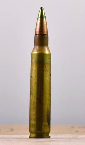 .223 Remington Cartridge for Deer