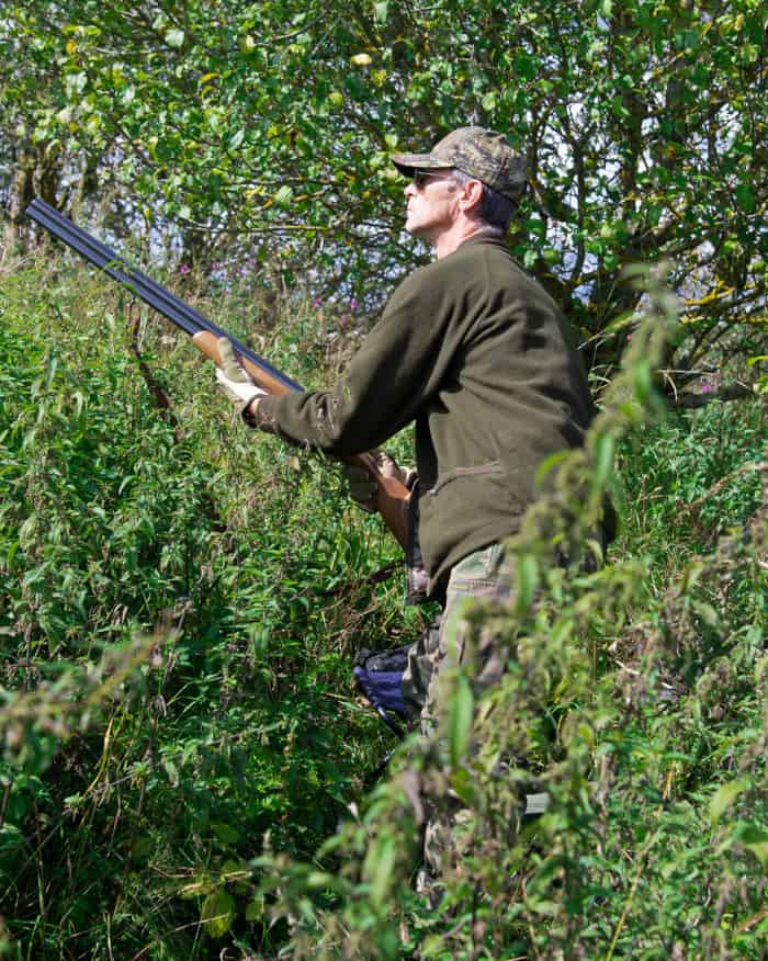 Dove Hunter Concealed in the Brush