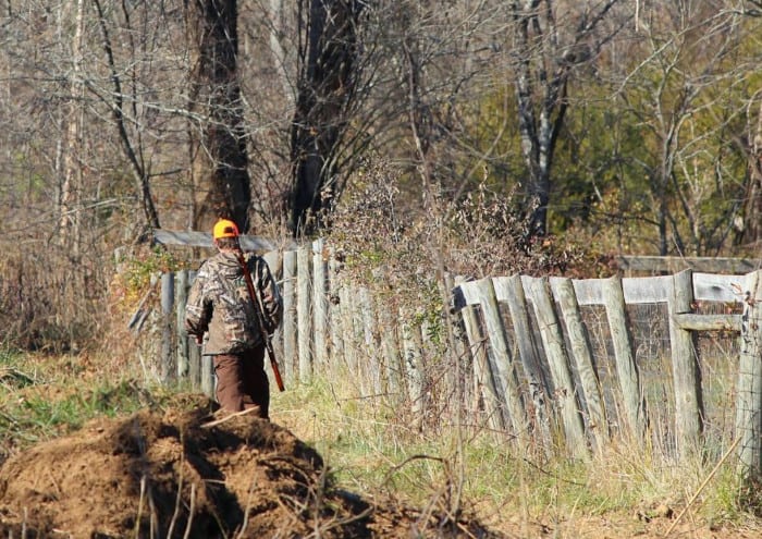 Deer Hunter Entering the Woods to Hunt