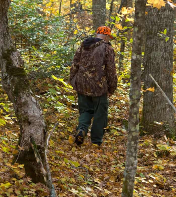 How Long Does Human Scent Last in the Woods