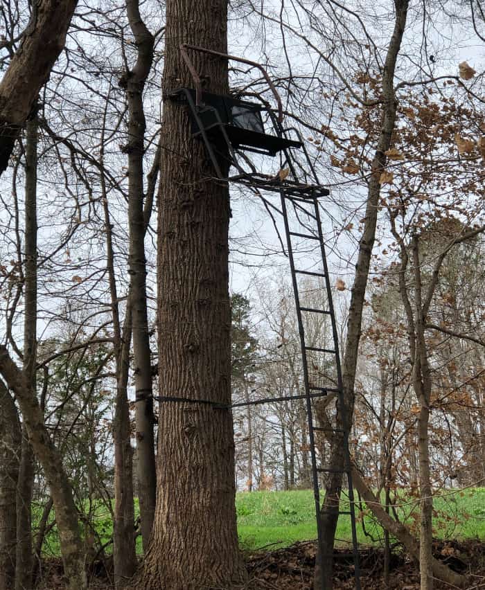 Two Man Deer Stand Overlooking a Food Plot