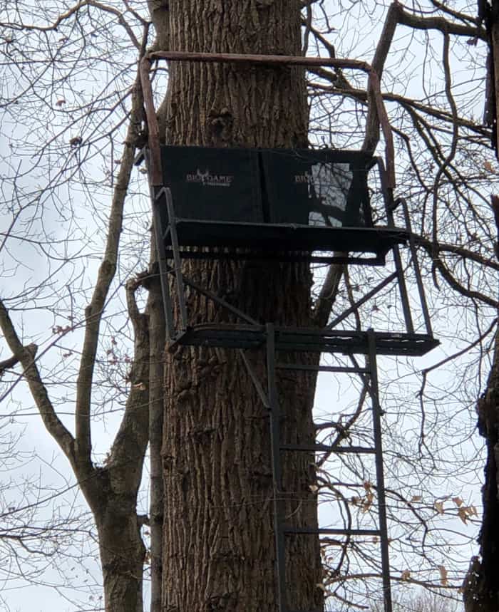 Two Man Ladder Deer Stand