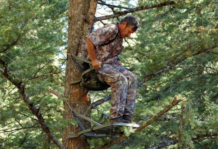 whats the best location for a tree stand